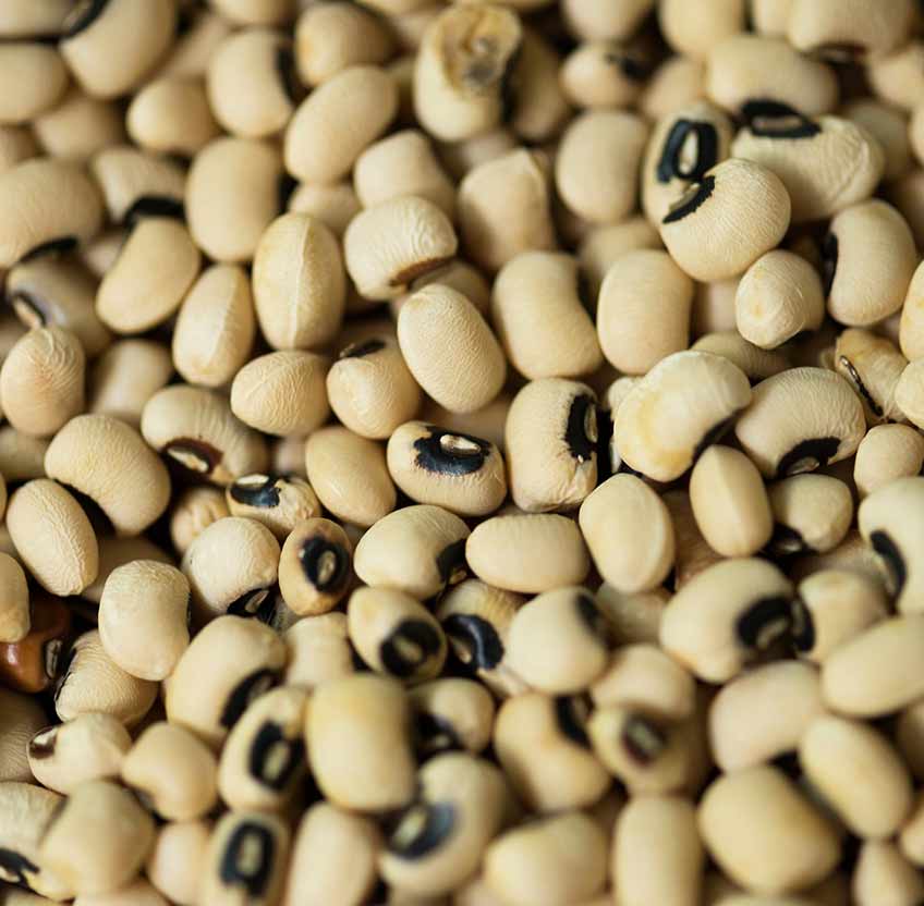 BEANS