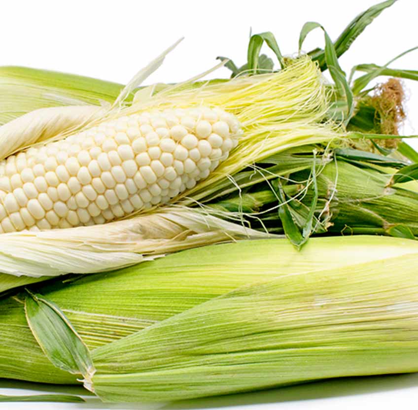 WHITE MAIZE