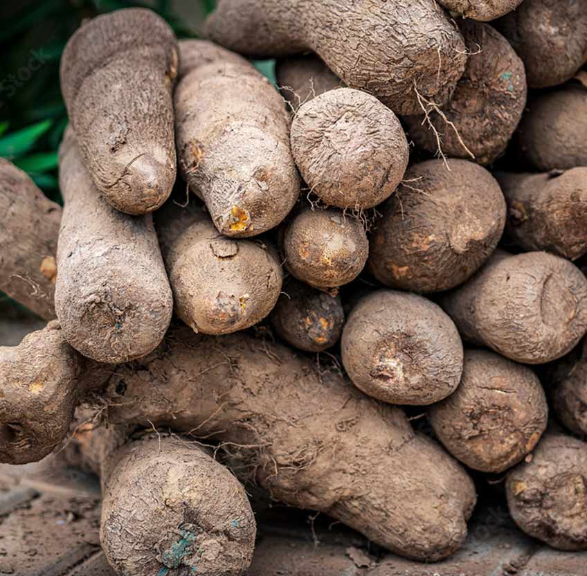 YAM
